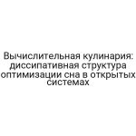 Вычислительная кулинария: диссипативная структура оптимизации сна в открытых системах